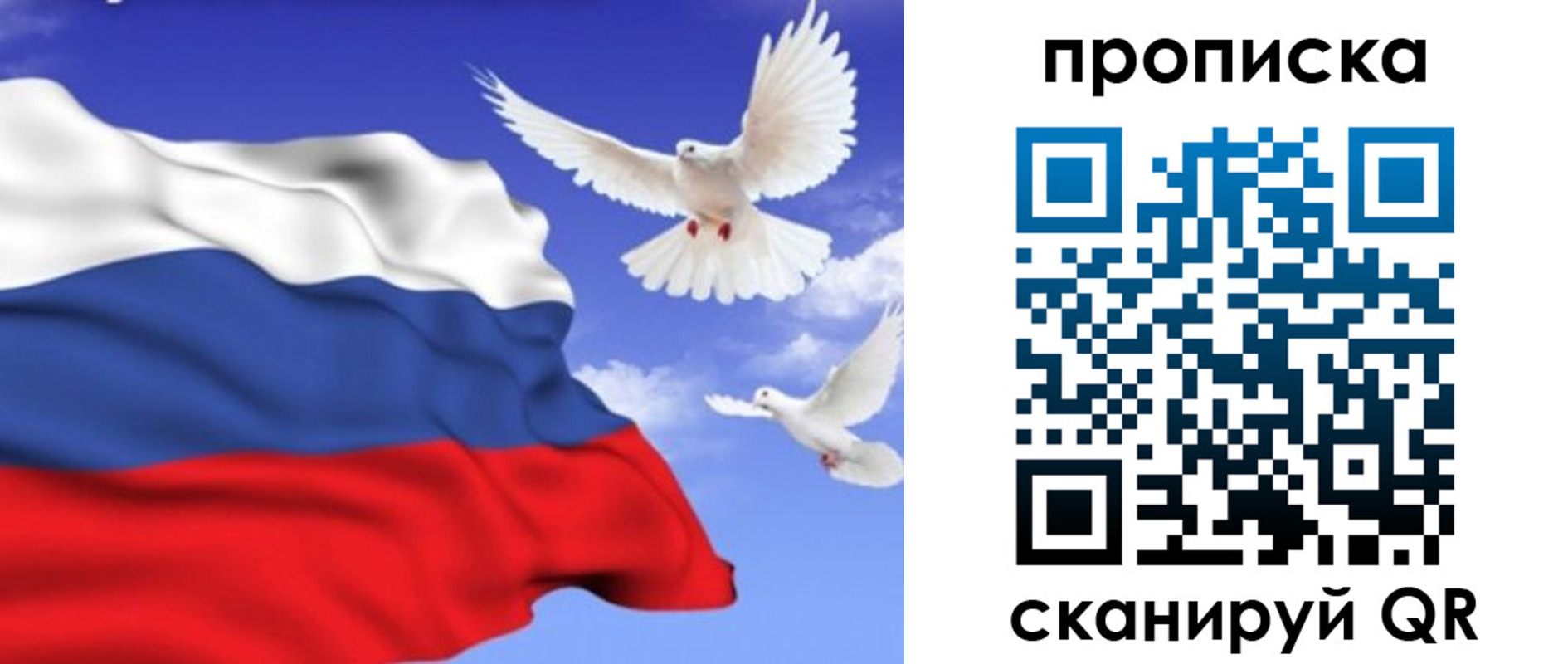 временная регистрация гарантия в Смоленске